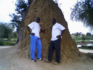 mon oncle et son ami � cot� d'une termitiere