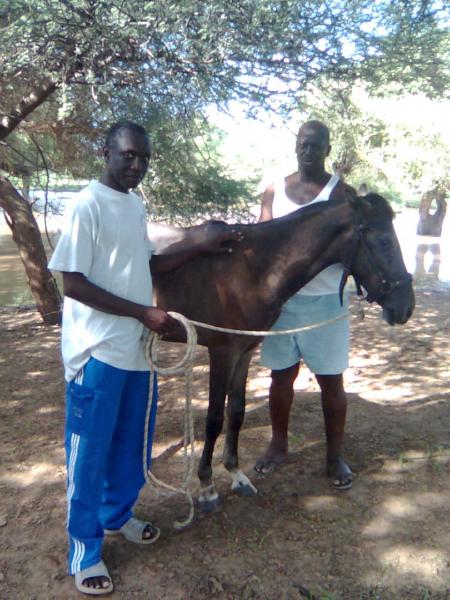 mon oncle et son ami avec le cheval